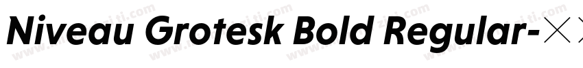 Niveau Grotesk Bold Regular字体转换